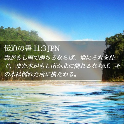 Picture 02 - 伝道の書 11:3 JPN - 雲がもし雨で満ちるならば、地にそ - Bible Verse Picture