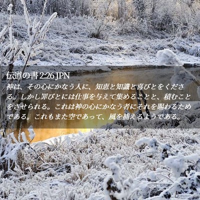 Picture 02 - 伝道の書 2:26 JPN - 神は、その心にかなう人に、知恵と - Bible Verse Picture
