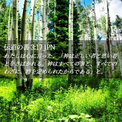 Picture 02 - 伝道の書 3:17 JPN - わたしは心に言った、「神は正しい - Bible Verse Picture