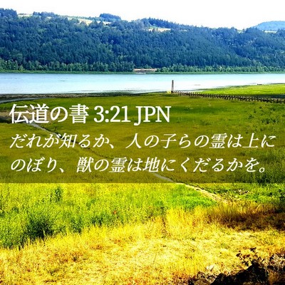 Picture 02 - 伝道の書 3:21 JPN - だれが知るか、人の子らの霊は上に - Bible Verse Picture