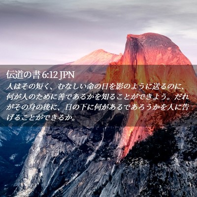 Picture 02 - 伝道の書 6:12 JPN - 人はその短く、むなしい命の日を影 - Bible Verse Picture