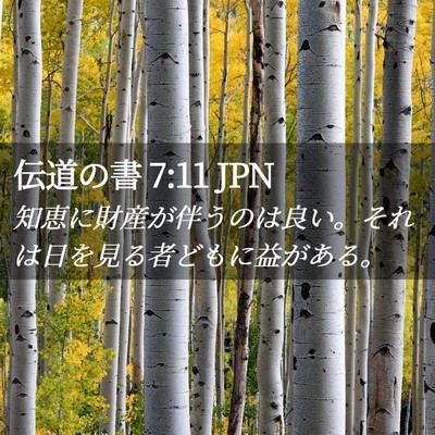Picture 02 - 伝道の書 7:11 JPN - 知恵に財産が伴うのは良い。それは - Bible Verse Picture