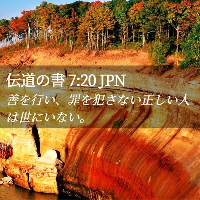 Picture 02 - 伝道の書 7:20 JPN - 善を行い、罪を犯さない正しい人は - Bible Verse Picture