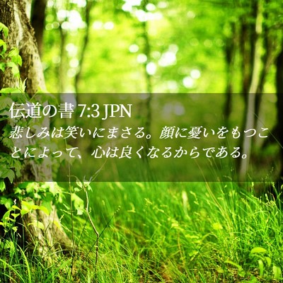 Picture 02 - 伝道の書 7:3 JPN - 悲しみは笑いにまさる。顔に憂いを - Bible Verse Picture