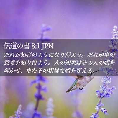 Picture 02 - 伝道の書 8:1 JPN - だれが知者のようになり得よう。だ - Bible Verse Picture