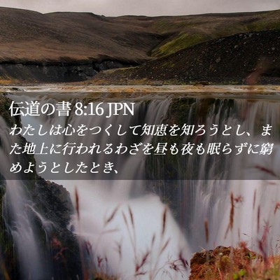 Picture 02 - 伝道の書 8:16 JPN - わたしは心をつくして知恵を知ろう - Bible Verse Picture