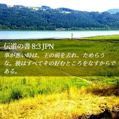 Picture 02 - 伝道の書 8:3 JPN - 事が悪い時は、王の前を去れ、ため - Bible Verse Picture