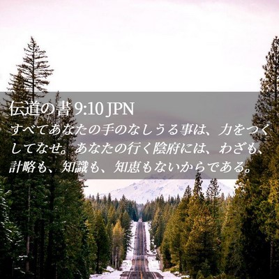 Picture 02 - 伝道の書 9:10 JPN - すべてあなたの手のなしうる事は、 - Bible Verse Picture
