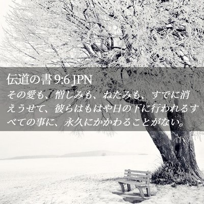 Picture 02 - 伝道の書 9:6 JPN - その愛も、憎しみも、ねたみも、す - Bible Verse Picture