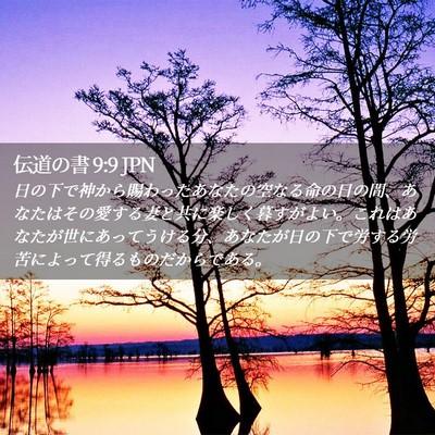 Picture 02 - 伝道の書 9:9 JPN - 日の下で神から賜わったあなたの空 - Bible Verse Picture