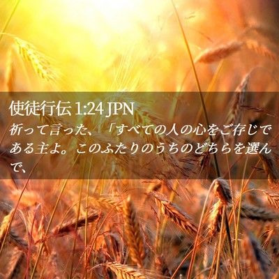 Picture 02 - 使徒行伝 1:24 JPN - 祈って言った、「すべての人の心を - Bible Verse Picture