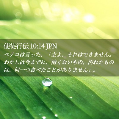 Picture 02 - 使徒行伝 10:14 JPN - ペテロは言った、「主よ、それはで - Bible Verse Picture