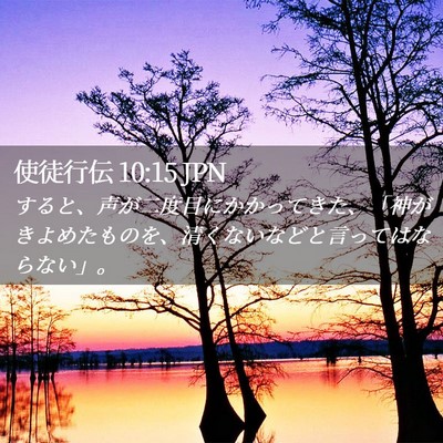 Picture 02 - 使徒行伝 10:15 JPN - すると、声が二度目にかかってきた - Bible Verse Picture