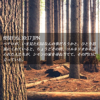 Picture 02 - 使徒行伝 10:17 JPN - ペテロが、いま見た幻はなんの事だ - Bible Verse Picture