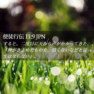 Picture 02 - 使徒行伝 11:9 JPN - すると、二度目に天から声がかかっ - Bible Verse Picture
