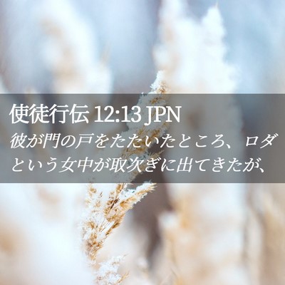 Picture 02 - 使徒行伝 12:13 JPN - 彼が門の戸をたたいたところ、ロダ - Bible Verse Picture