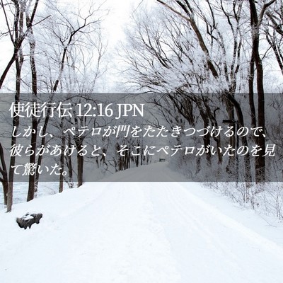 Picture 02 - 使徒行伝 12:16 JPN - しかし、ペテロが門をたたきつづけ - Bible Verse Picture