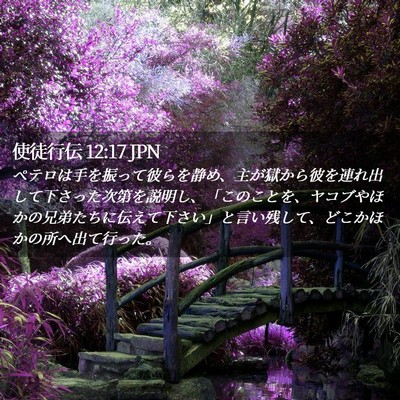 Picture 02 - 使徒行伝 12:17 JPN - ペテロは手を振って彼らを静め、主 - Bible Verse Picture