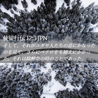 Picture 02 - 使徒行伝 12:3 JPN - そして、それがユダヤ人たちの意に - Bible Verse Picture