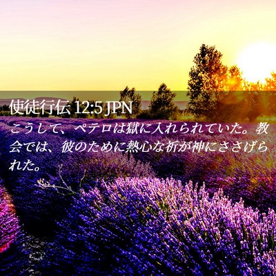 Picture 02 - 使徒行伝 12:5 JPN - こうして、ペテロは獄に入れられて - Bible Verse Picture