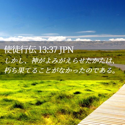 Picture 02 - 使徒行伝 13:37 JPN - しかし、神がよみがえらせたかたは - Bible Verse Picture