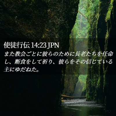 Picture 02 - 使徒行伝 14:23 JPN - また教会ごとに彼らのために長老た - Bible Verse Picture