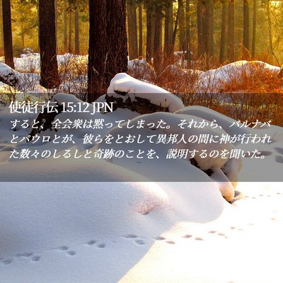 Picture 02 - 使徒行伝 15:12 JPN - すると、全会衆は黙ってしまった。 - Bible Verse Picture
