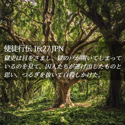 Picture 02 - 使徒行伝 16:27 JPN - 獄吏は目をさまし、獄の戸が開いて - Bible Verse Picture