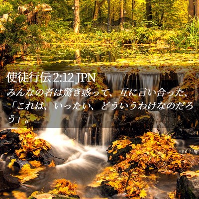 Picture 02 - 使徒行伝 2:12 JPN - みんなの者は驚き惑って、互に言い - Bible Verse Picture