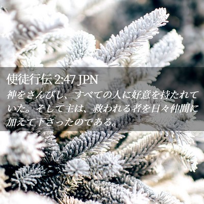 Picture 02 - 使徒行伝 2:47 JPN - 神をさんびし、すべての人に好意を - Bible Verse Picture