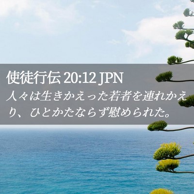 Picture 02 - 使徒行伝 20:12 JPN - 人々は生きかえった若者を連れかえ - Bible Verse Picture