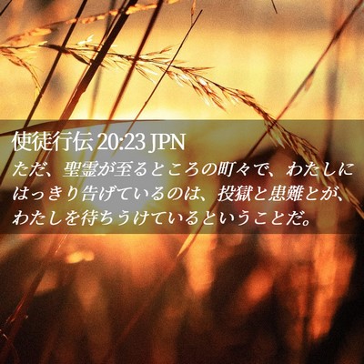 Picture 02 - 使徒行伝 20:23 JPN - ただ、聖霊が至るところの町々で、 - Bible Verse Picture