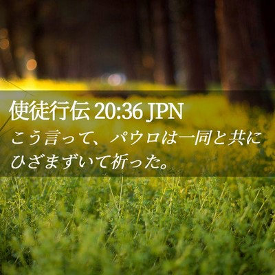 Picture 02 - 使徒行伝 20:36 JPN - こう言って、パウロは一同と共にひ - Bible Verse Picture