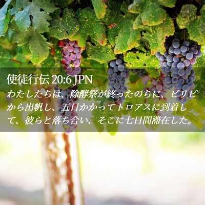 Picture 02 - 使徒行伝 20:6 JPN - わたしたちは、除酵祭が終ったのち - Bible Verse Picture