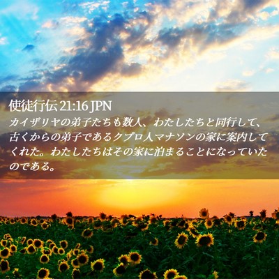 Picture 02 - 使徒行伝 21:16 JPN - カイザリヤの弟子たちも数人、わた - Bible Verse Picture