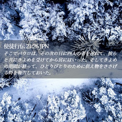 Picture 02 - 使徒行伝 21:26 JPN - そこでパウロは、その次の日に四人 - Bible Verse Picture