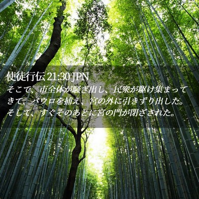 Picture 02 - 使徒行伝 21:30 JPN - そこで、市全体が騒ぎ出し、民衆が - Bible Verse Picture