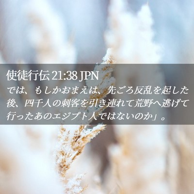 Picture 02 - 使徒行伝 21:38 JPN - では、もしかおまえは、先ごろ反乱 - Bible Verse Picture