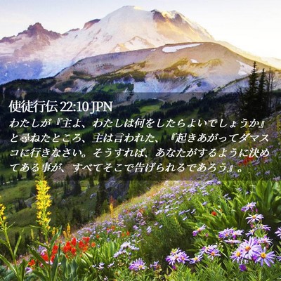 Picture 02 - 使徒行伝 22:10 JPN - わたしが『主よ、わたしは何をした - Bible Verse Picture