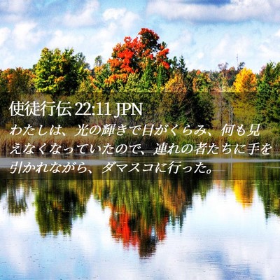 Picture 02 - 使徒行伝 22:11 JPN - わたしは、光の輝きで目がくらみ、 - Bible Verse Picture