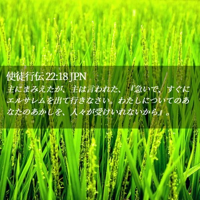Picture 02 - 使徒行伝 22:18 JPN - 主にまみえたが、主は言われた、『 - Bible Verse Picture