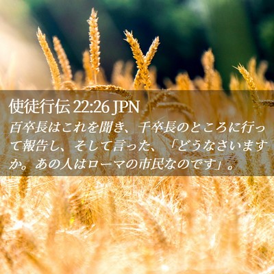Picture 02 - 使徒行伝 22:26 JPN - 百卒長はこれを聞き、千卒長のとこ - Bible Verse Picture