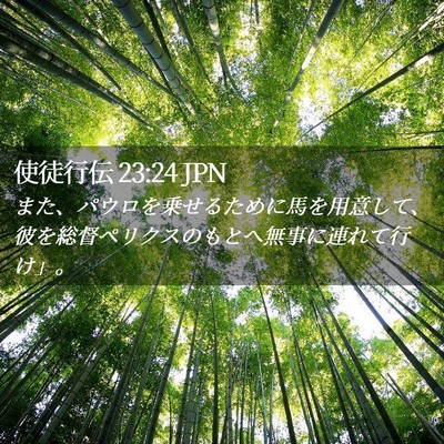 Picture 02 - 使徒行伝 23:24 JPN - また、パウロを乗せるために馬を用 - Bible Verse Picture