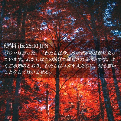 Picture 02 - 使徒行伝 25:10 JPN - パウロは言った、「わたしは今、カ - Bible Verse Picture