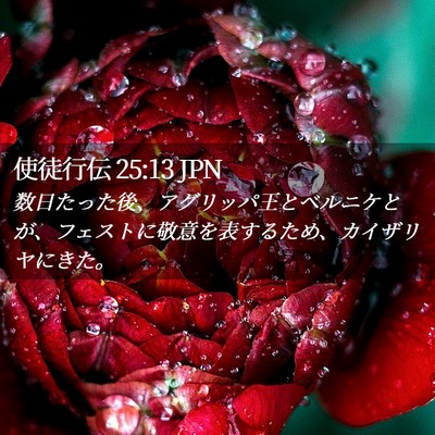 Picture 02 - 使徒行伝 25:13 JPN - 数日たった後、アグリッパ王とベル - Bible Verse Picture