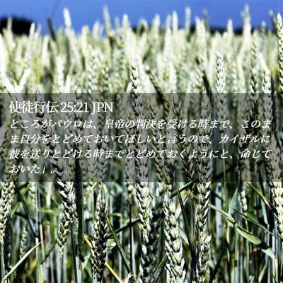 Picture 02 - 使徒行伝 25:21 JPN - ところがパウロは、皇帝の判決を受 - Bible Verse Picture