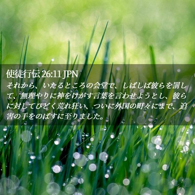 Picture 02 - 使徒行伝 26:11 JPN - それから、いたるところの会堂で、 - Bible Verse Picture