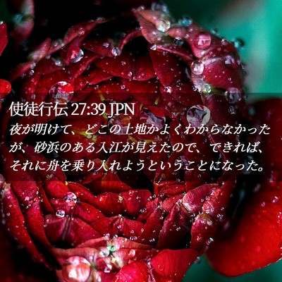 Picture 02 - 使徒行伝 27:39 JPN - 夜が明けて、どこの土地かよくわか - Bible Verse Picture