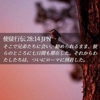 Picture 02 - 使徒行伝 28:14 JPN - そこで兄弟たちに会い、勧められる - Bible Verse Picture