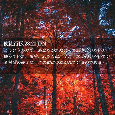 Picture 02 - 使徒行伝 28:20 JPN - こういうわけで、あなたがたに会っ - Bible Verse Picture